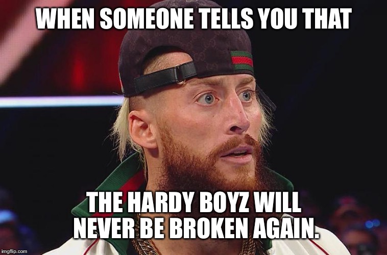 WHEN SOMEONE TELLS YOU THAT; THE HARDY BOYZ WILL NEVER BE BROKEN AGAIN. | image tagged in wwe | made w/ Imgflip meme maker