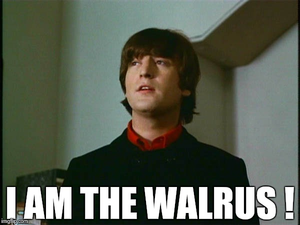 John Lennon | I AM THE WALRUS ! | image tagged in john lennon | made w/ Imgflip meme maker