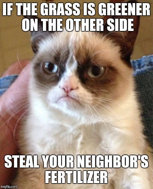 Grumpy Cat | IF THE GRASS IS GREENER ON THE OTHER SIDE; STEAL YOUR NEIGHBOR'S FERTILIZER | image tagged in memes,grumpy cat | made w/ Imgflip meme maker