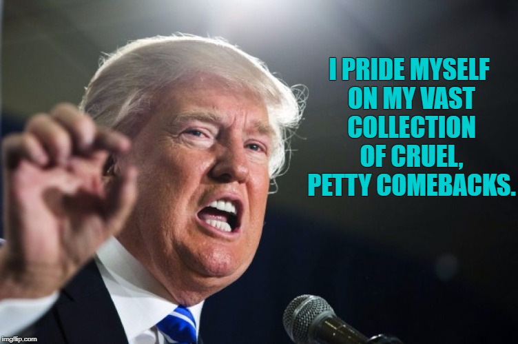 donald trump | I PRIDE MYSELF ON MY VAST COLLECTION OF CRUEL, PETTY COMEBACKS. | image tagged in donald trump,funny,funny memes,insults | made w/ Imgflip meme maker