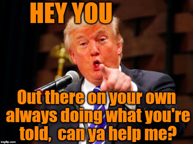 trump point | HEY YOU Out there on your own always doing what you're told,  can ya help me? | image tagged in trump point | made w/ Imgflip meme maker