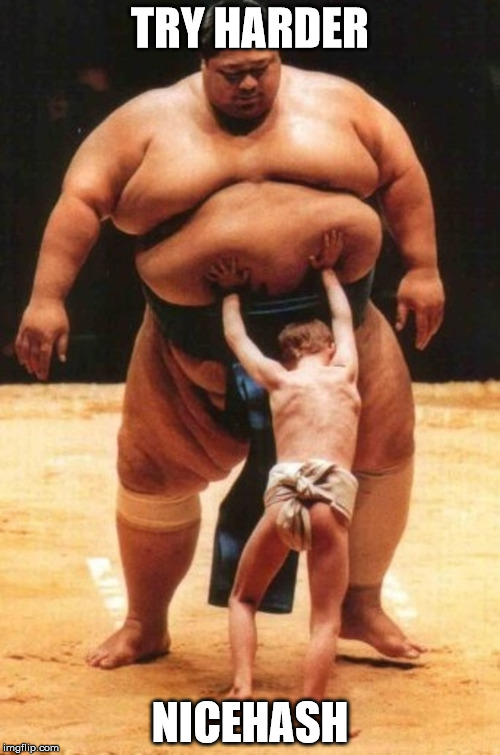 Young sumo kid | TRY HARDER; NICEHASH | image tagged in young sumo kid | made w/ Imgflip meme maker