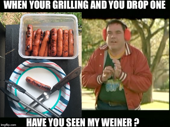 Warren from There's Something About Mary | WHEN YOUR GRILLING AND YOU DROP ONE; HAVE YOU SEEN MY WEINER ? | image tagged in warren from there's something about mary | made w/ Imgflip meme maker
