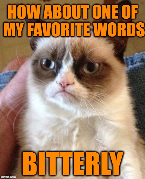 Grumpy Cat Meme | HOW ABOUT ONE OF MY FAVORITE WORDS BITTERLY | image tagged in memes,grumpy cat | made w/ Imgflip meme maker