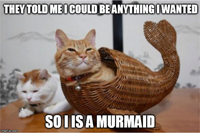 Look...a murmaid | THEY TOLD ME I COULD BE ANYTHING I WANTED; SO I IS A MURMAID | image tagged in cat,mermaid | made w/ Imgflip meme maker