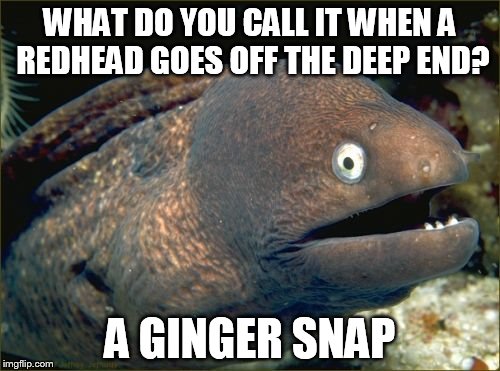 Bad Joke Eel Meme | WHAT DO YOU CALL IT WHEN A REDHEAD GOES OFF THE DEEP END? A GINGER SNAP | image tagged in memes,bad joke eel | made w/ Imgflip meme maker