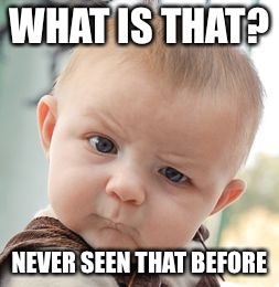 Skeptical Baby Meme | WHAT IS THAT? NEVER SEEN THAT BEFORE | image tagged in memes,skeptical baby | made w/ Imgflip meme maker