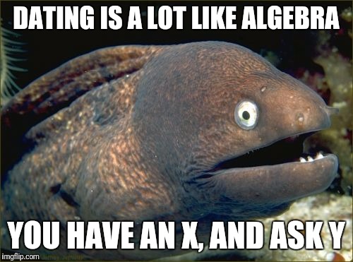 Bad Joke Eel Meme | DATING IS A LOT LIKE ALGEBRA; YOU HAVE AN X, AND ASK Y | image tagged in memes,bad joke eel | made w/ Imgflip meme maker