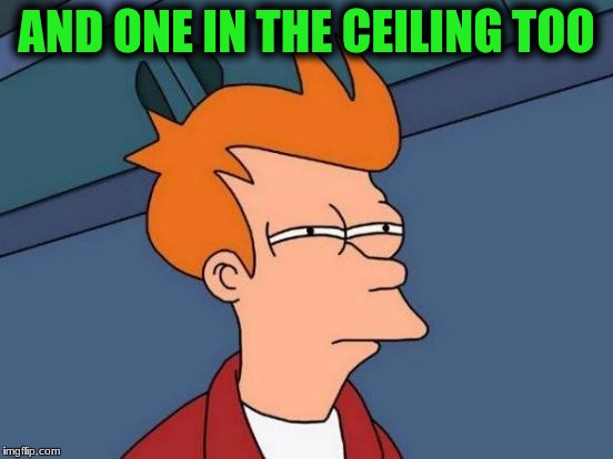 Futurama Fry Meme | AND ONE IN THE CEILING TOO | image tagged in memes,futurama fry | made w/ Imgflip meme maker