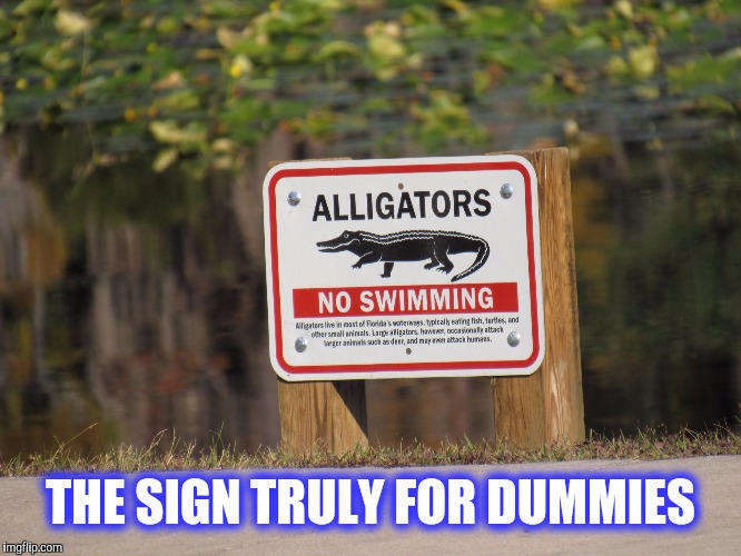 Gator sign | THE SIGN TRULY FOR DUMMIES | image tagged in gator sign | made w/ Imgflip meme maker