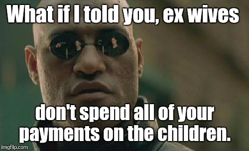 Matrix Morpheus Meme | What if I told you, ex wives don't spend all of your payments on the children. | image tagged in memes,matrix morpheus | made w/ Imgflip meme maker