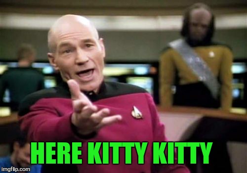 Picard Wtf Meme | HERE KITTY KITTY | image tagged in memes,picard wtf | made w/ Imgflip meme maker