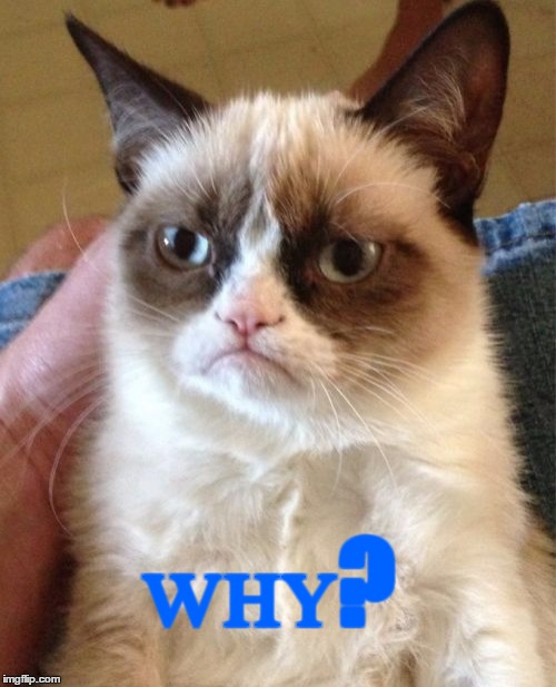 Grumpy Cat Meme | ᴡʜʏ? | image tagged in memes,grumpy cat | made w/ Imgflip meme maker