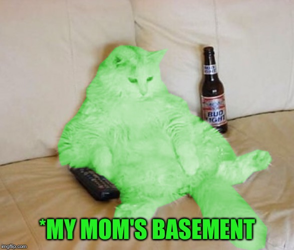 RayCat Chillin' | *MY MOM'S BASEMENT | image tagged in raycat chillin' | made w/ Imgflip meme maker