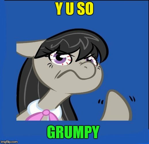 y u no MLP | Y U SO GRUMPY | image tagged in y u no mlp | made w/ Imgflip meme maker