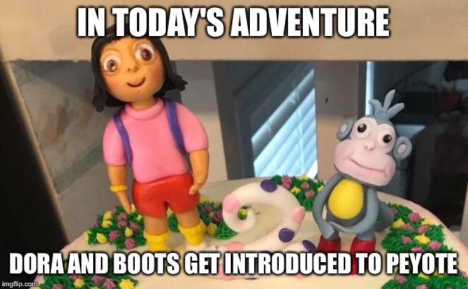Dora learns about peyote | IN TODAY'S ADVENTURE; DORA AND BOOTS GET INTRODUCED TO PEYOTE | image tagged in dora the explorer | made w/ Imgflip meme maker