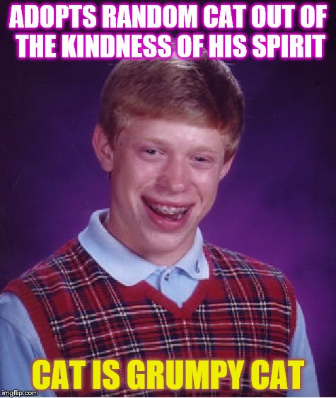 Bad Luck Brian Meme | ADOPTS RANDOM CAT OUT OF THE KINDNESS OF HIS SPIRIT CAT IS GRUMPY CAT | image tagged in memes,bad luck brian | made w/ Imgflip meme maker