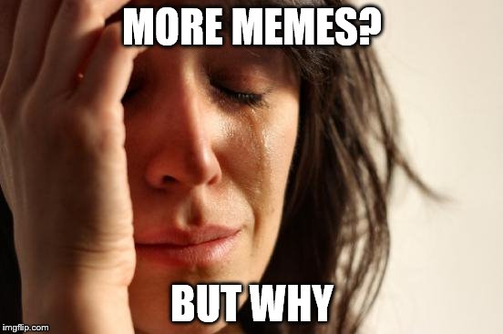 First World Problems | MORE MEMES? BUT WHY | image tagged in memes,first world problems | made w/ Imgflip meme maker