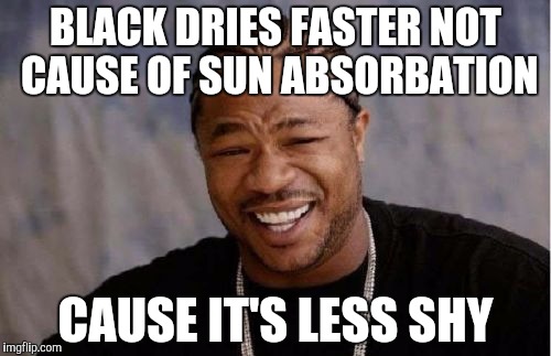 Yo Dawg Heard You Meme | BLACK DRIES FASTER NOT CAUSE OF SUN ABSORBATION CAUSE IT'S LESS SHY | image tagged in memes,yo dawg heard you | made w/ Imgflip meme maker