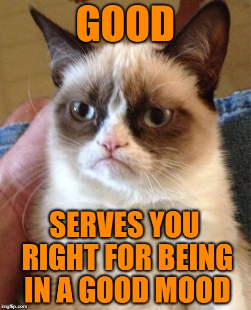 Grumpy Cat Meme | GOOD SERVES YOU RIGHT FOR BEING IN A GOOD MOOD | image tagged in memes,grumpy cat | made w/ Imgflip meme maker