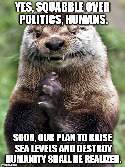 If we're not careful, the otters might take over as a third party. | YES, SQUABBLE OVER POLITICS, HUMANS. SOON, OUR PLAN TO RAISE SEA LEVELS AND DESTROY HUMANITY SHALL BE REALIZED. | image tagged in memes,evil otter,politics,sea level,destroy humanity | made w/ Imgflip meme maker