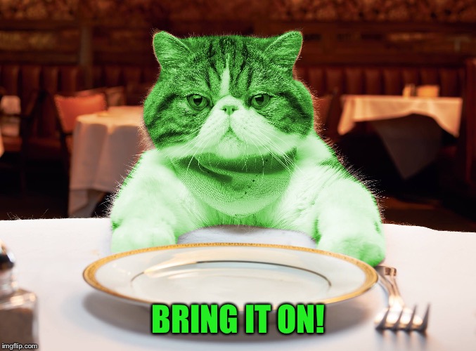 RayCat Hungry | BRING IT ON! | image tagged in raycat hungry | made w/ Imgflip meme maker