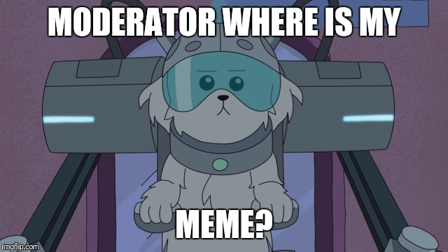 Rick and Morty | MODERATOR WHERE IS MY; MEME? | image tagged in rick and morty | made w/ Imgflip meme maker