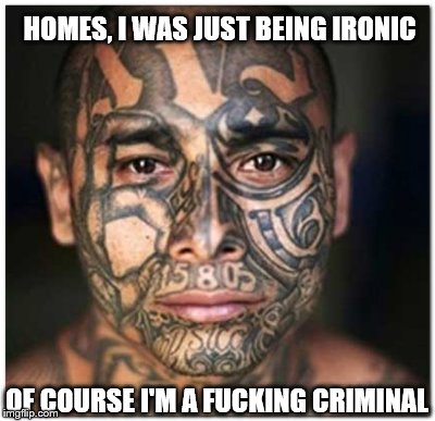 HOMES, I WAS JUST BEING IRONIC OF COURSE I'M A F**KING CRIMINAL | made w/ Imgflip meme maker