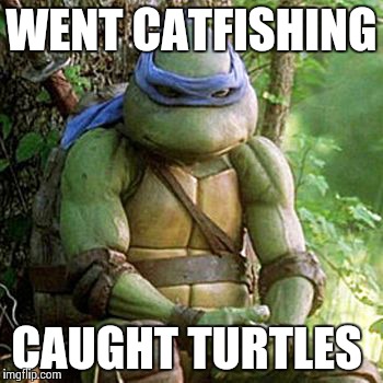 Sad Ninja Turtle | WENT CATFISHING; CAUGHT TURTLES | image tagged in sad ninja turtle | made w/ Imgflip meme maker