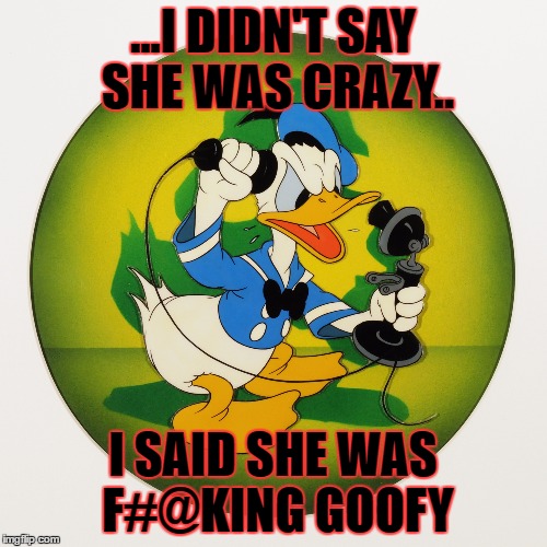 ...I DIDN'T SAY SHE WAS CRAZY.. I SAID SHE WAS F#@KING GOOFY | made w/ Imgflip meme maker