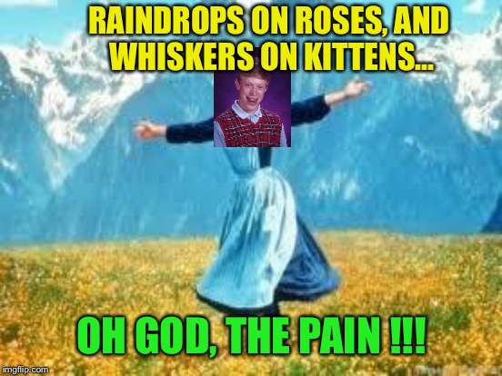 RAINDROPS ON ROSES, AND WHISKERS ON KITTENS... OH GOD, THE PAIN !!! | made w/ Imgflip meme maker
