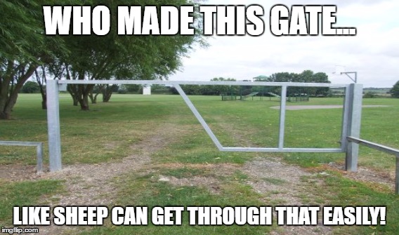 Jimmy...Im disappointed. | WHO MADE THIS GATE... LIKE SHEEP CAN GET THROUGH THAT EASILY! | image tagged in jimmy,gate,sheep,memes | made w/ Imgflip meme maker
