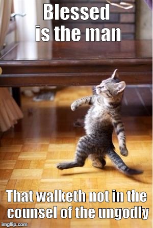 Walking Cat | Blessed is the man; That walketh not in the counsel of the ungodly | image tagged in walking cat | made w/ Imgflip meme maker