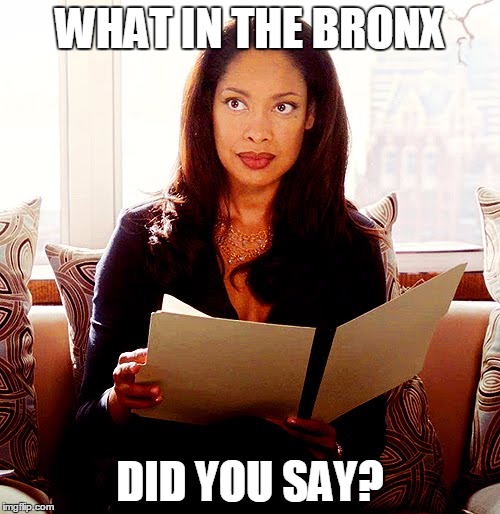 What in the Bronx did you say? | WHAT IN THE BRONX; DID YOU SAY? | image tagged in gina torres,sarcastic,bronx | made w/ Imgflip meme maker
