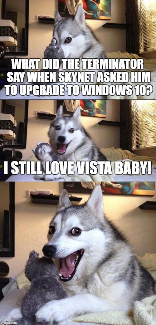 Bad Pun Dog Meme | WHAT DID THE TERMINATOR SAY WHEN SKYNET ASKED HIM TO UPGRADE TO WINDOWS 10? I STILL LOVE VISTA BABY! | image tagged in memes,bad pun dog | made w/ Imgflip meme maker
