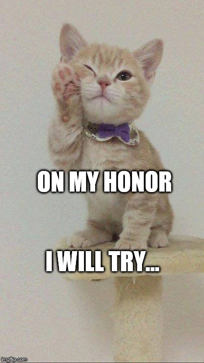 ON MY HONOR; I WILL TRY... | image tagged in on my honor | made w/ Imgflip meme maker