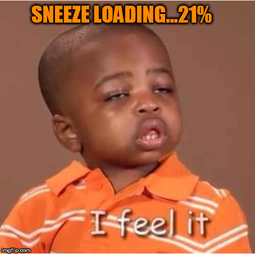 SNEEZE LOADING...21% | made w/ Imgflip meme maker