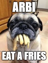 Fries pug | ARBI; EAT A FRIES | image tagged in fries pug | made w/ Imgflip meme maker
