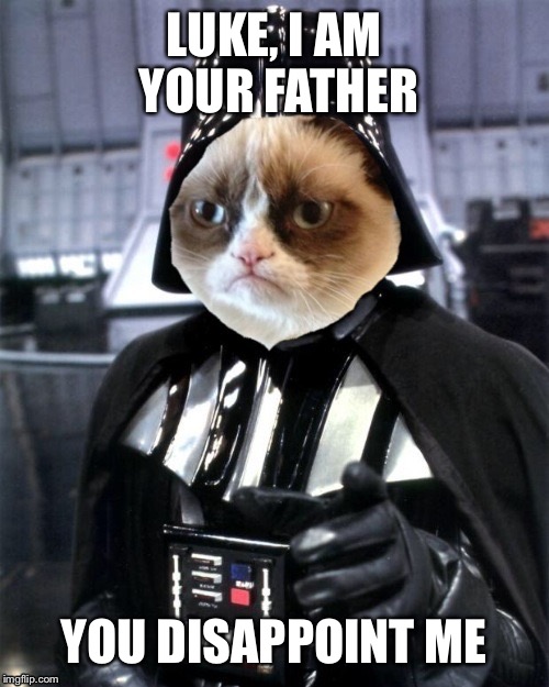 Dearth Vader grumpy cat | LUKE, I AM YOUR FATHER; YOU DISAPPOINT ME | image tagged in dearth vader grumpy cat | made w/ Imgflip meme maker