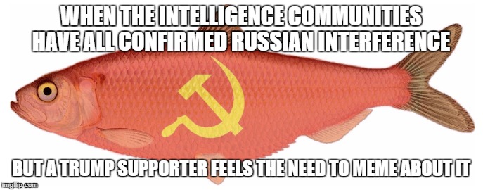 A fallacy by any other name | WHEN THE INTELLIGENCE COMMUNITIES HAVE ALL CONFIRMED RUSSIAN INTERFERENCE; BUT A TRUMP SUPPORTER FEELS THE NEED TO MEME ABOUT IT | image tagged in russians trumpsupporters | made w/ Imgflip meme maker