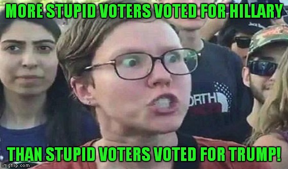 MORE STUPID VOTERS VOTED FOR HILLARY THAN STUPID VOTERS VOTED FOR TRUMP! | made w/ Imgflip meme maker