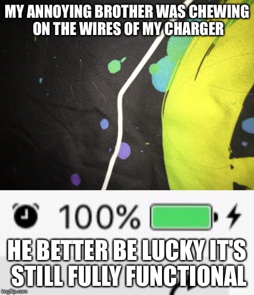 :/ | MY ANNOYING BROTHER WAS CHEWING ON THE WIRES OF MY CHARGER; HE BETTER BE LUCKY IT'S STILL FULLY FUNCTIONAL | image tagged in chargers,screenshot | made w/ Imgflip meme maker