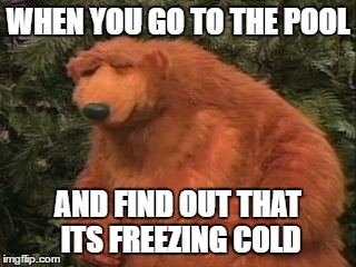 WHEN YOU GO TO THE POOL; AND FIND OUT THAT ITS FREEZING COLD | image tagged in frustrated bear,pool,cold,upset,angry,summer | made w/ Imgflip meme maker