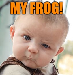 Skeptical Baby Meme | MY FROG! | image tagged in memes,skeptical baby | made w/ Imgflip meme maker