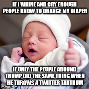Bumps & Babies | IF I WHINE AND CRY ENOUGH PEOPLE KNOW TO CHANGE MY DIAPER; IF ONLY THE PEOPLE AROUND TRUMP DID THE SAME THING WHEN HE THROWS A TWITTER TANTRUM | image tagged in bumps  babies | made w/ Imgflip meme maker