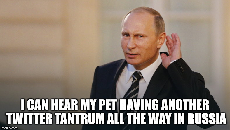Putin is listening to you | I CAN HEAR MY PET HAVING ANOTHER TWITTER TANTRUM ALL THE WAY IN RUSSIA | image tagged in putin is listening to you | made w/ Imgflip meme maker