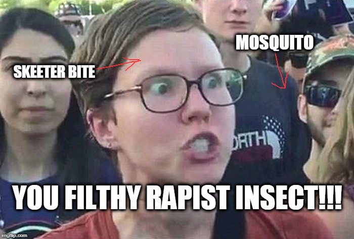 Only the Female Skeeters Bite, Though | MOSQUITO; SKEETER BITE; YOU FILTHY RAPIST INSECT!!! | image tagged in triggered liberal | made w/ Imgflip meme maker