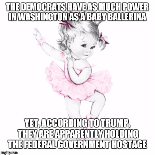 Democrats hold Washington hostage  | THE DEMOCRATS HAVE AS MUCH POWER IN WASHINGTON AS A BABY BALLERINA; YET, ACCORDING TO TRUMP, THEY ARE APPARENTLY HOLDING THE FEDERAL GOVERNMENT HOSTAGE | image tagged in democrats,hostage,trump | made w/ Imgflip meme maker