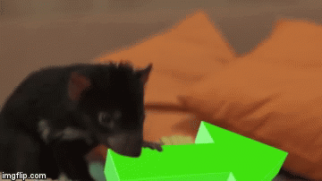 image tagged in gifs | made w/ Imgflip video-to-gif maker