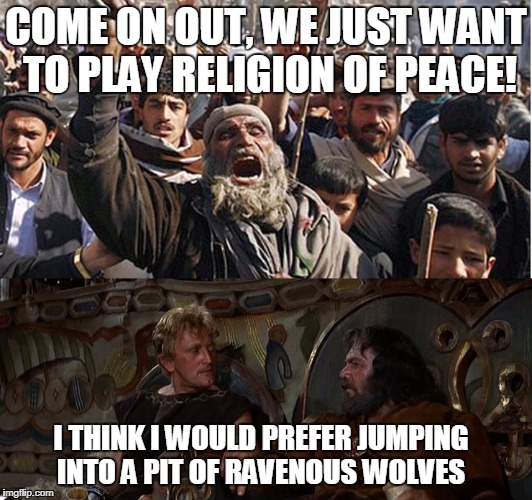 AT LEAST WOLVES DON'T LIE ABOUT THEIR INTENTIONS | COME ON OUT, WE JUST WANT TO PLAY RELIGION OF PEACE! I THINK I WOULD PREFER JUMPING INTO A PIT OF RAVENOUS WOLVES | image tagged in muslims,vikings,angry muslim,muslim terror | made w/ Imgflip meme maker